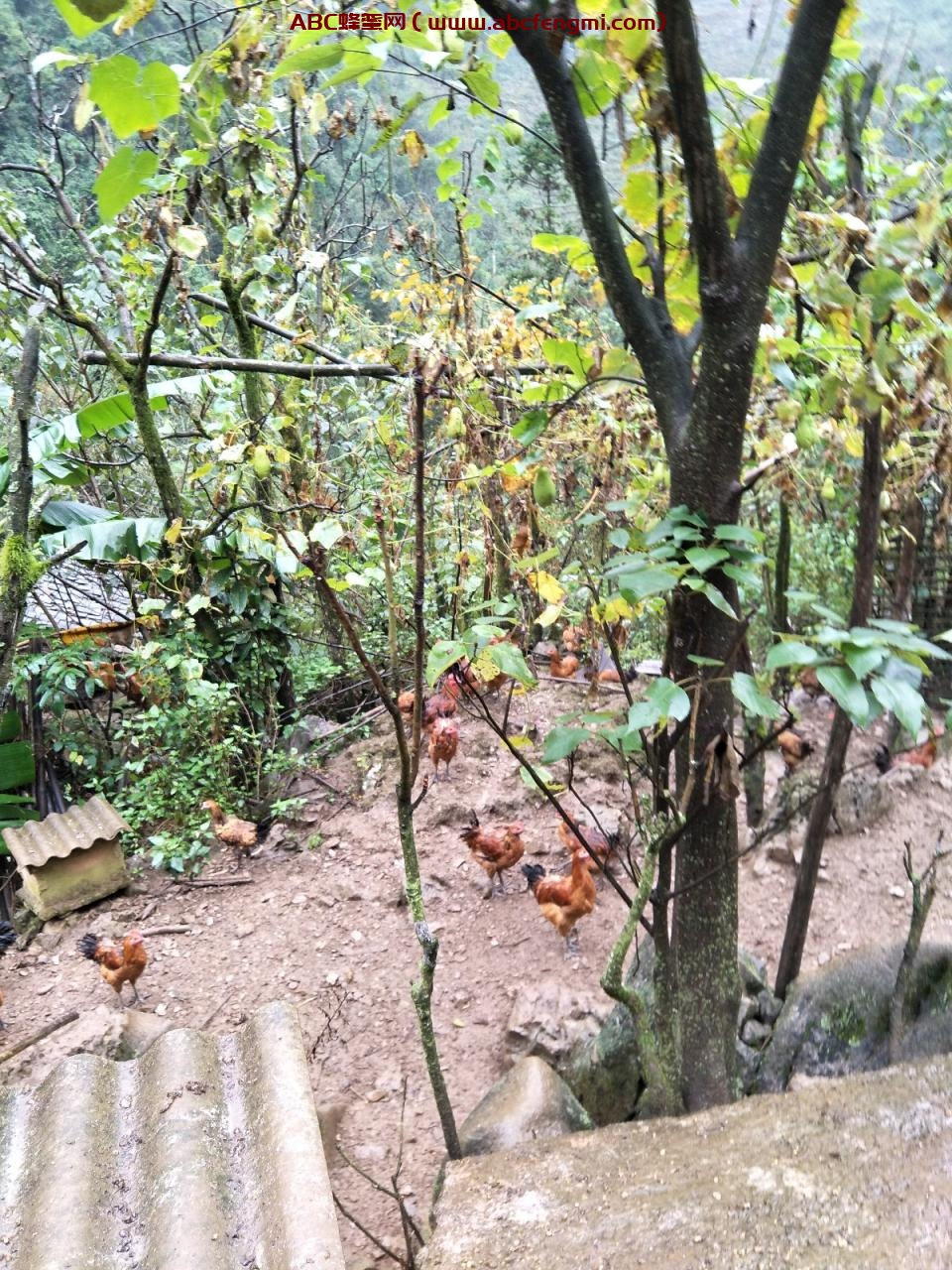 151189472700000002.jpg %title插图%num